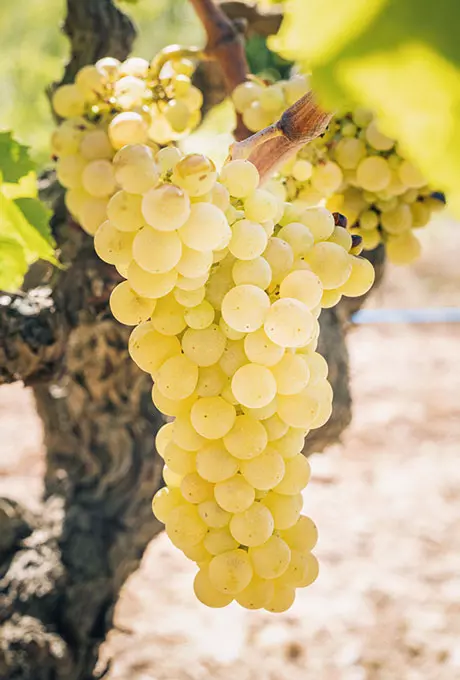 Колонна медная